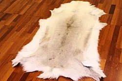 Rensdyrskind - XXL # 23