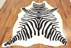 Zebraskind 11