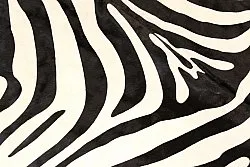 Zebraskind 11