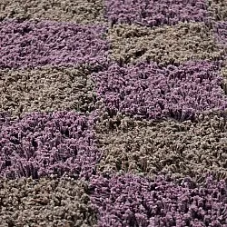 Runde tæpper - Elsey Natural Cotton Shaggy (brun/lilla)