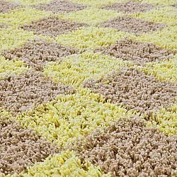 Runde tæpper - Elsey Natural Cotton Shaggy (gul/beige)