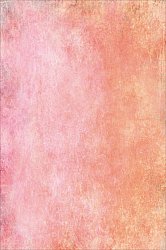 Wilton-tæppe - Baden (rosa)