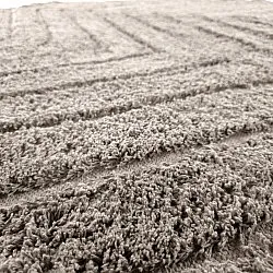 Runde tæpper - Conara Natural Cotton Shaggy (taupe)