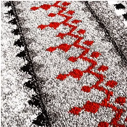 Wilton-tæppe - Elduvik (rød)