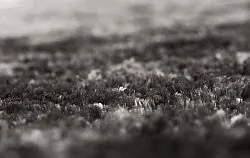 Ryatæpper - Shaggy Luxe (antracit)