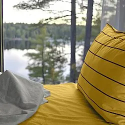 Lagen - Asteria (sennep)