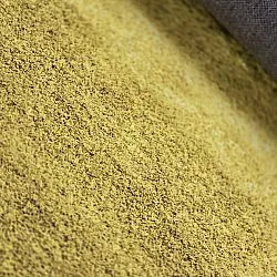 Wilton-tæppe - Bacalar (okker)