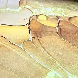 Wilton-tæppe - Etienne (beige/guld)