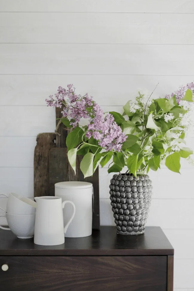 TV-bord / Kommode - Prime (valnød/messing)