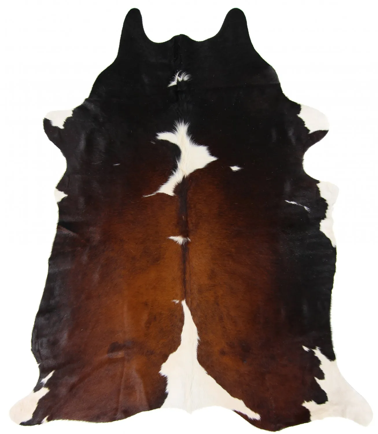 Koskind - Tricolor Exotic 03