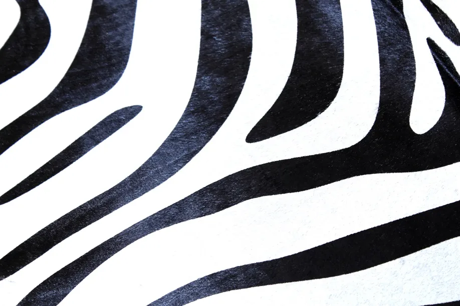 Zebraskind 14