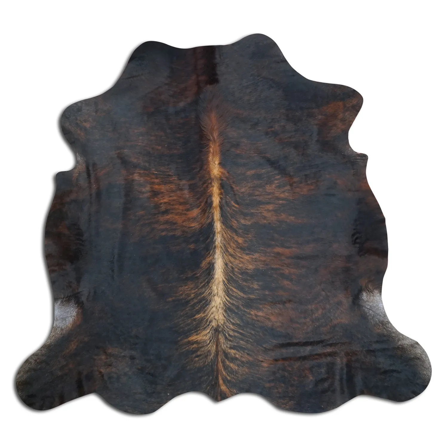 Koskind - Tricolor Exotic 550