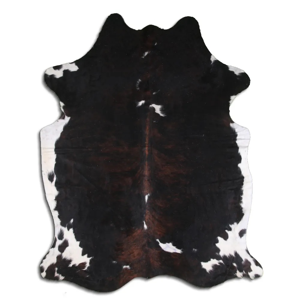 Koskind - Tricolor Exotic 15