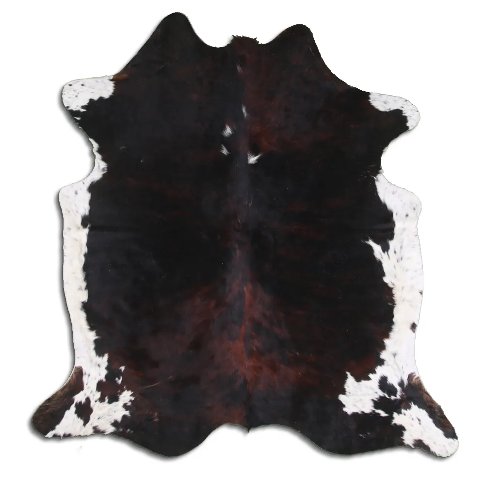 Koskind - Tricolor Exotic 16