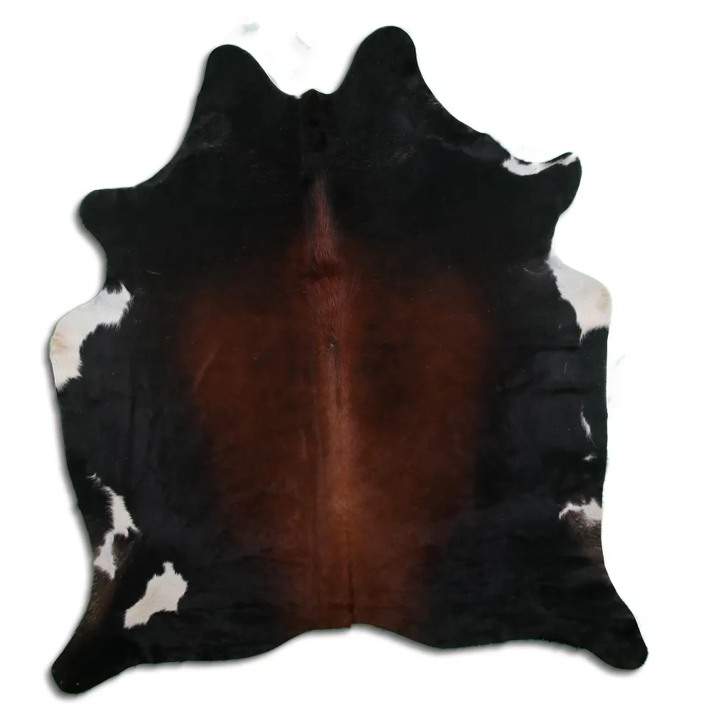 Koskind - Tricolor Exotic 01