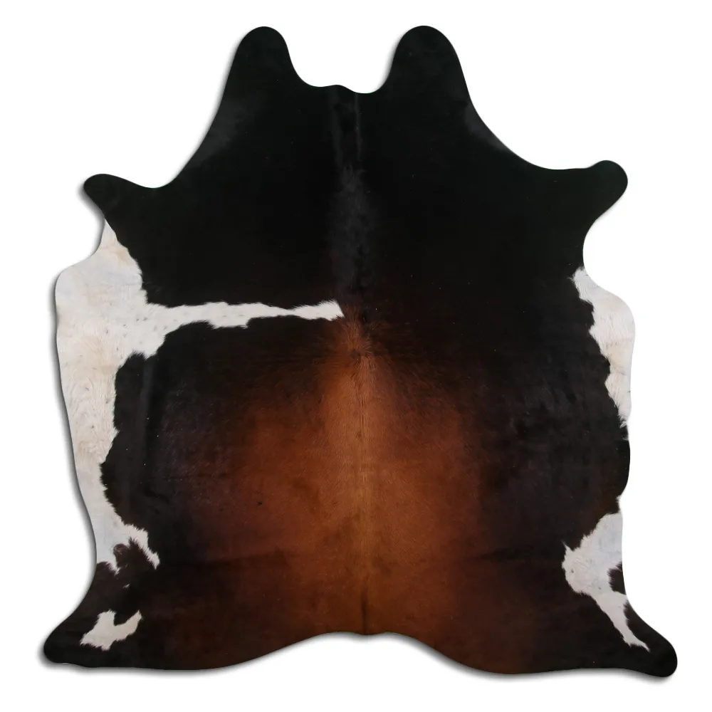 Koskind - Tricolor Exotic 03