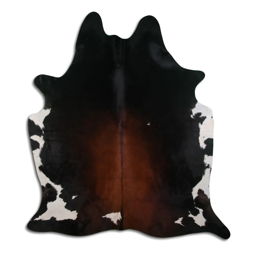 Koskind - Tricolor Exotic 04