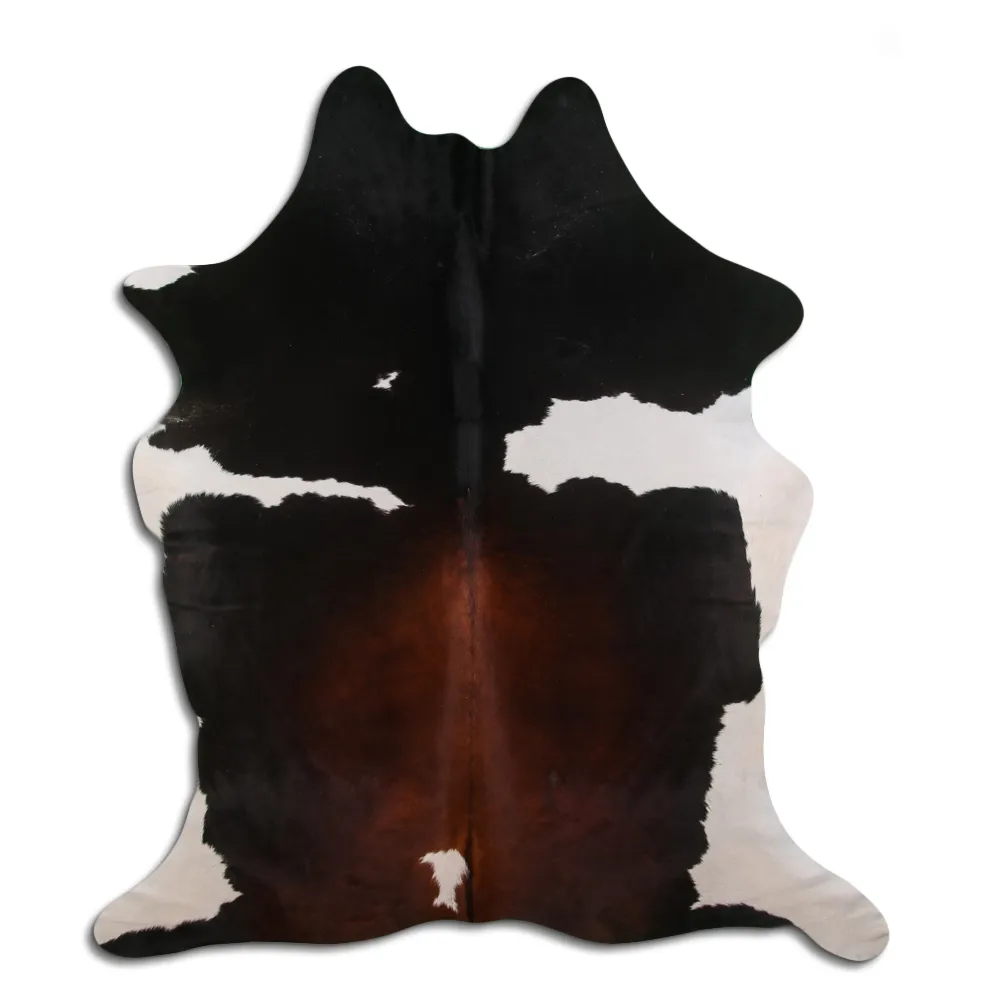 Koskind - Tricolor Exotic 13