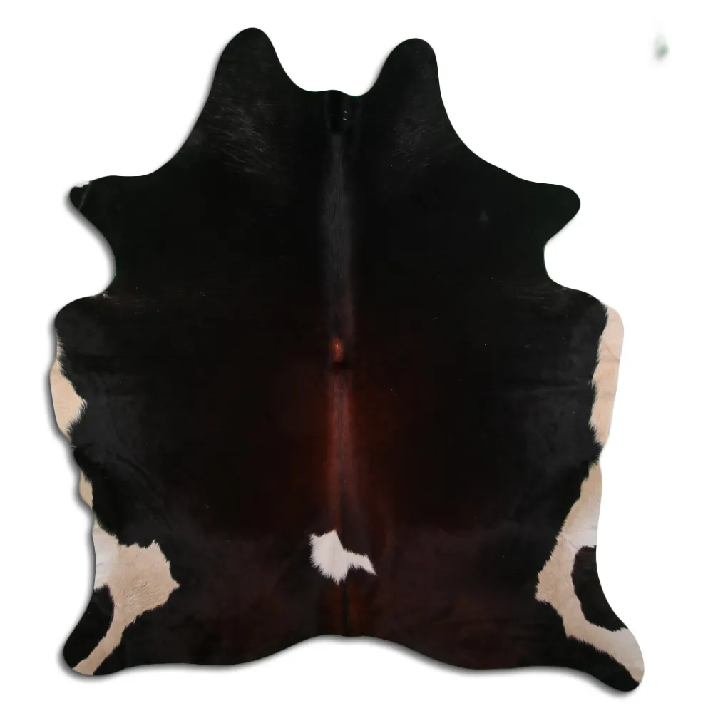 Koskind - Tricolor Exotic 14