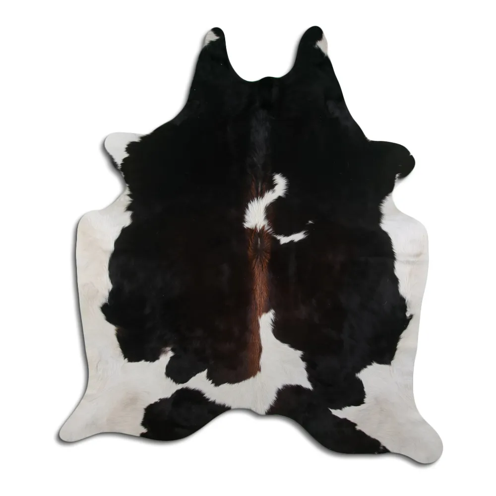 Koskind - Tricolor Exotic 21