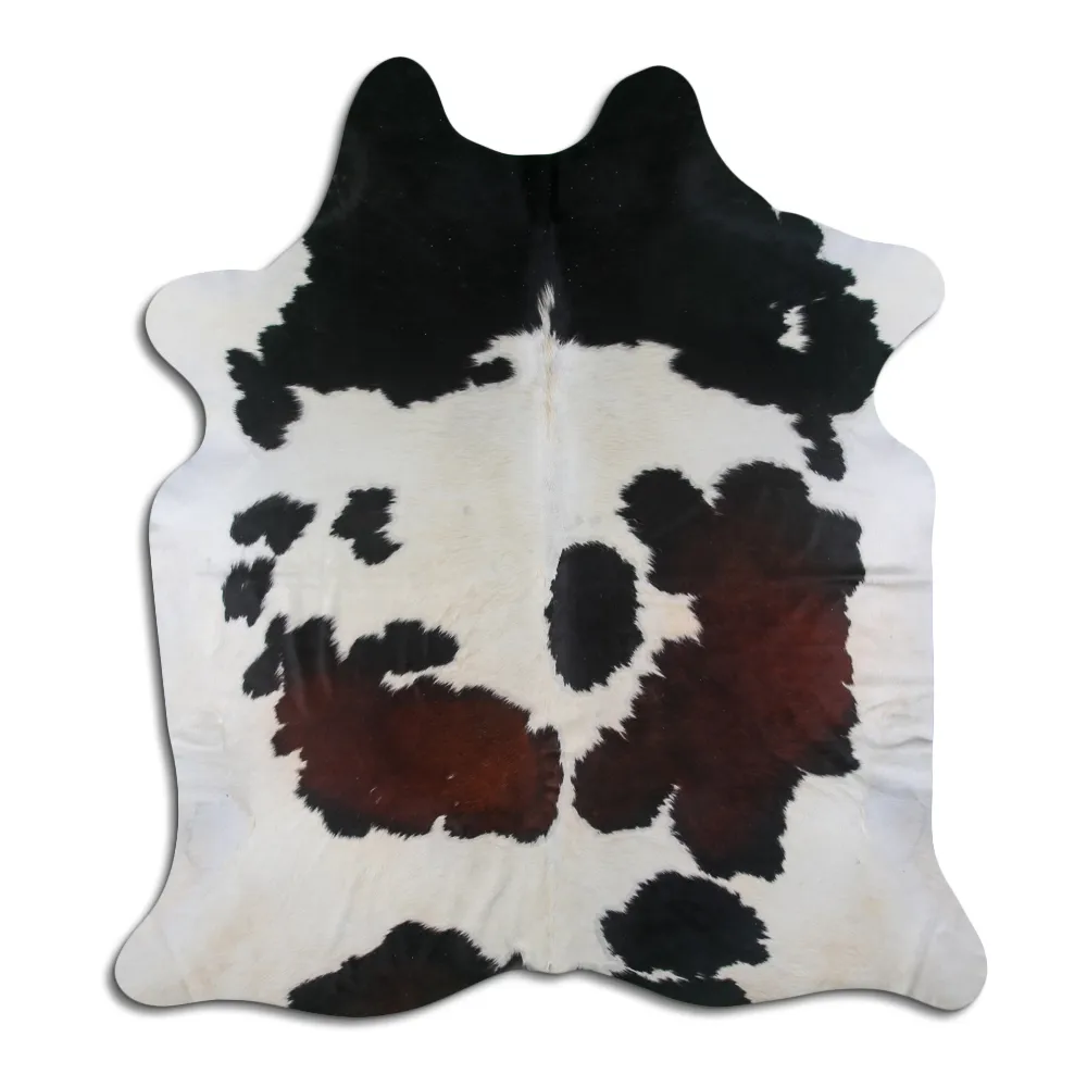 Koskind - Tricolor Exotic 25