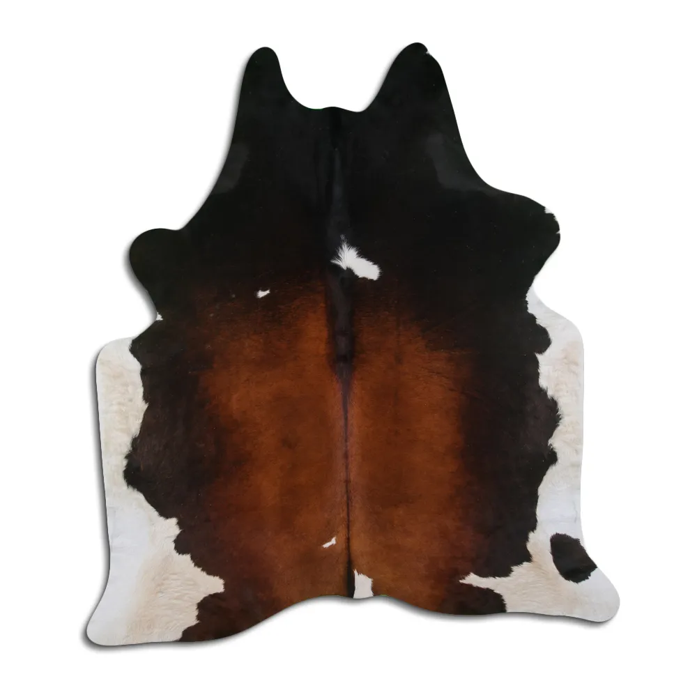 Koskind - Tricolor Exotic 33