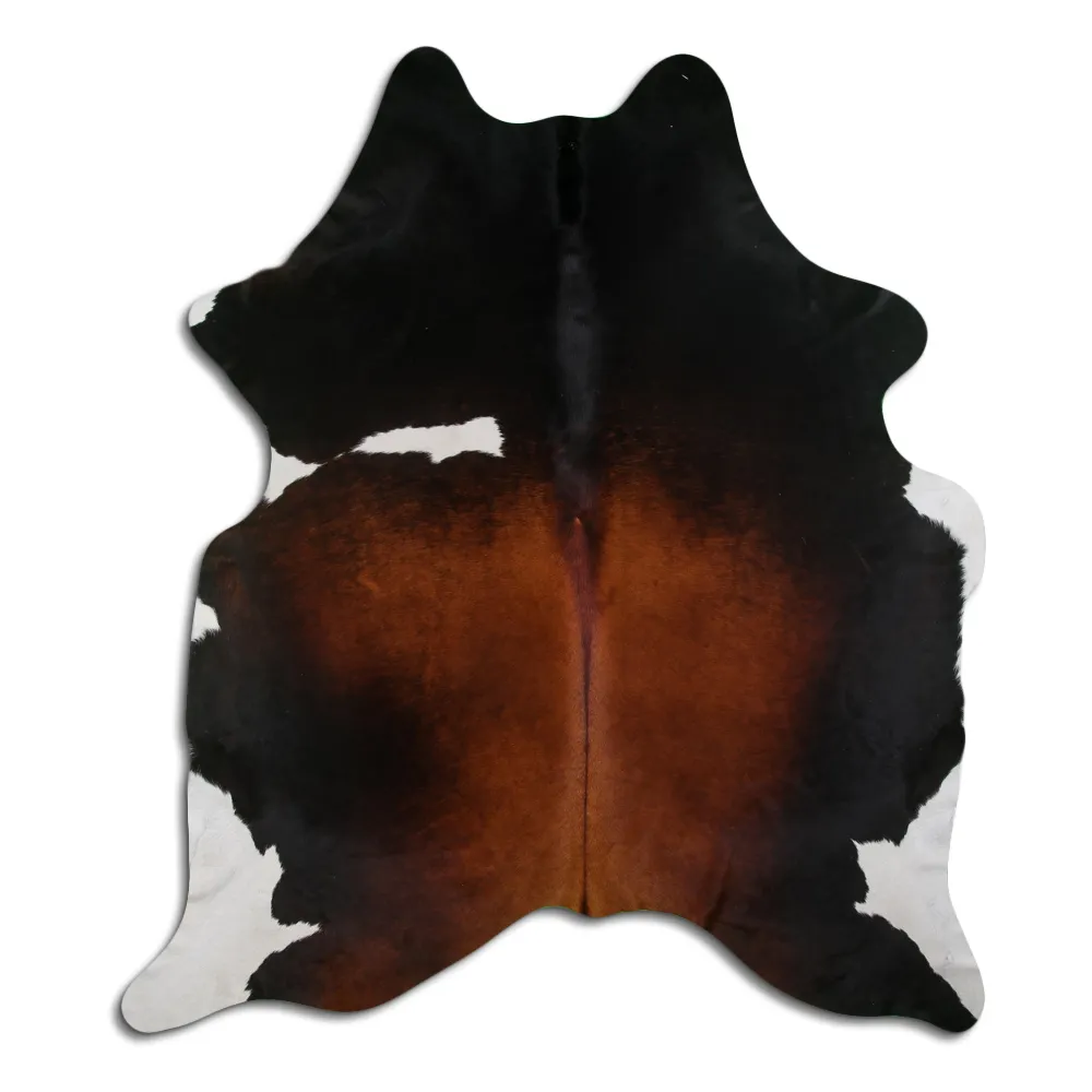 Koskind - Tricolor Exotic 37