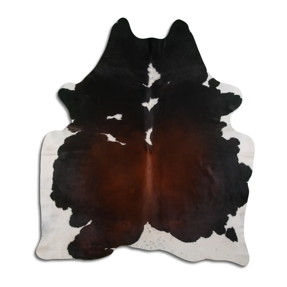 Koskind - Tricolor Exotic 43