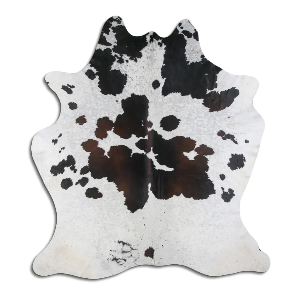 Koskind - Tricolor Exotic 48