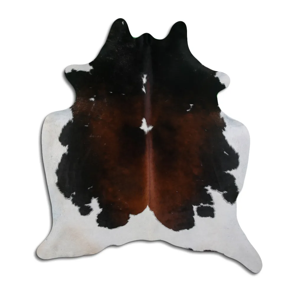 Koskind - Tricolor Exotic 50
