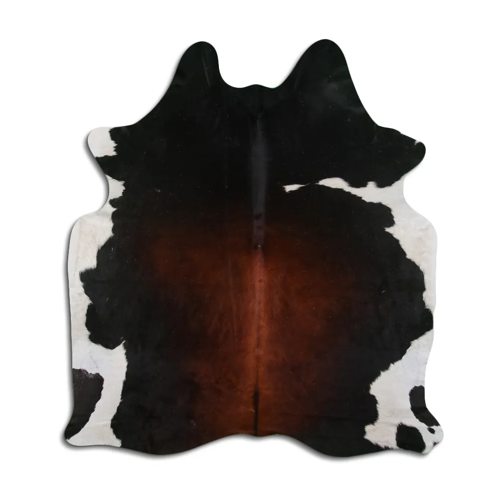 Koskind - Tricolor Exotic 54