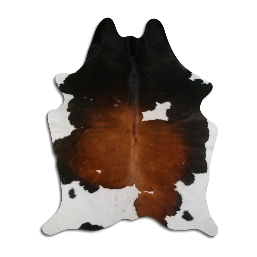 Koskind - Tricolor Exotic 80