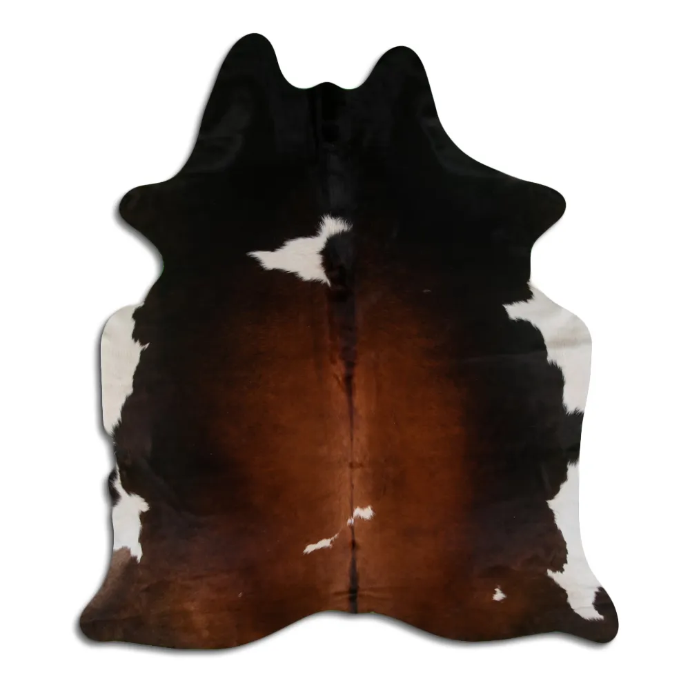 Koskind - Tricolor Exotic 122