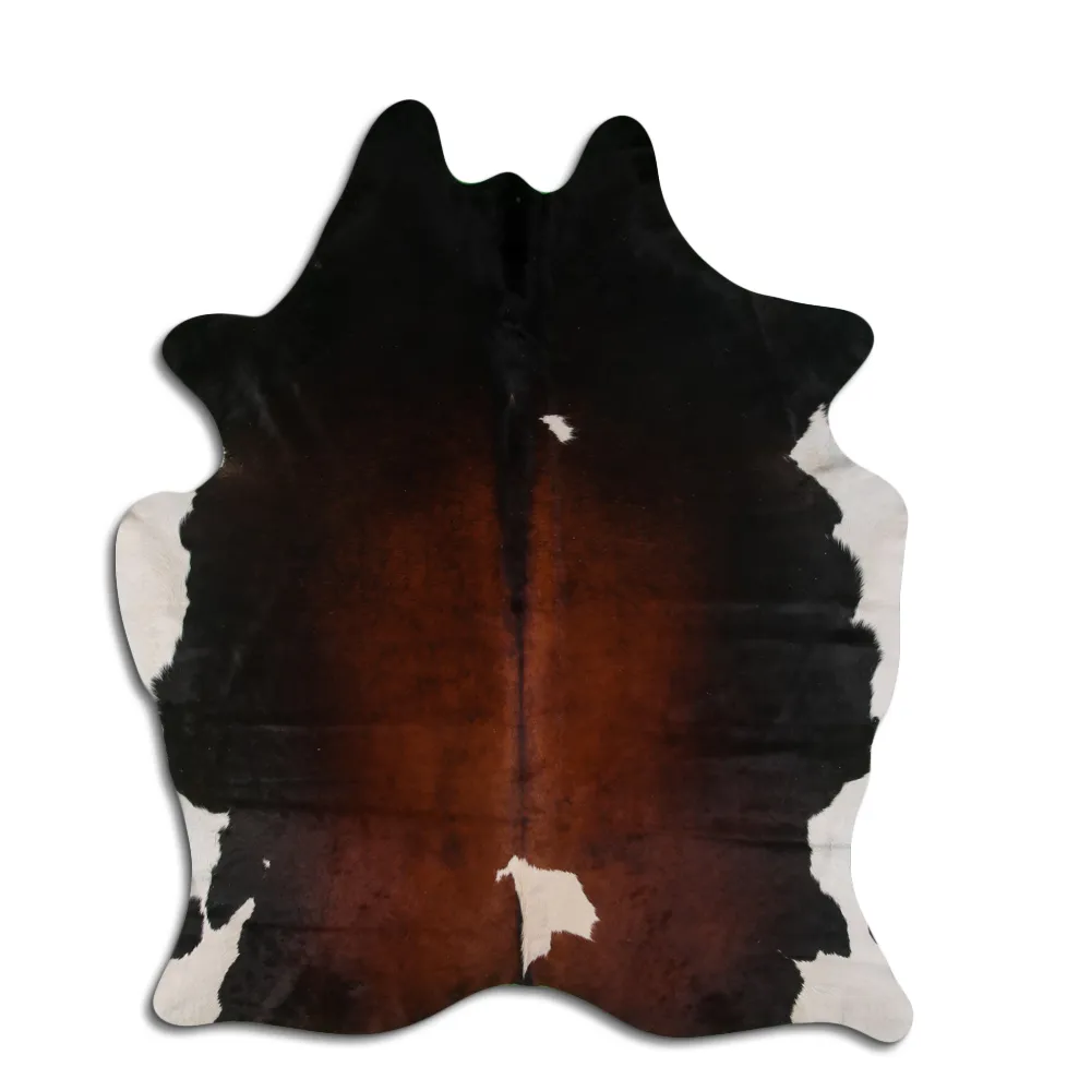 Koskind - Tricolor Exotic 133