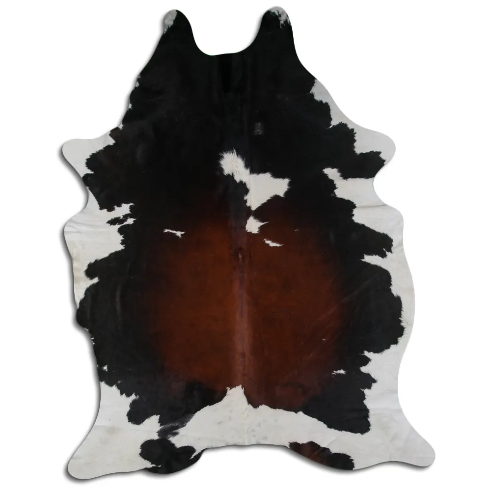 Koskind - Tricolor Exotic 126