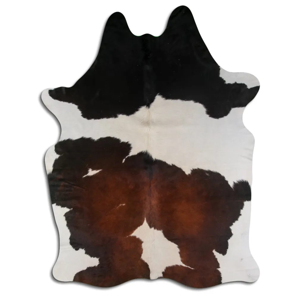 Koskind - Tricolor Exotic 136