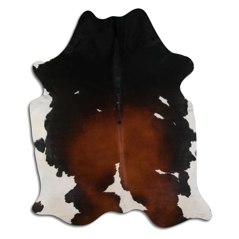 Koskind - Tricolor Exotic 138