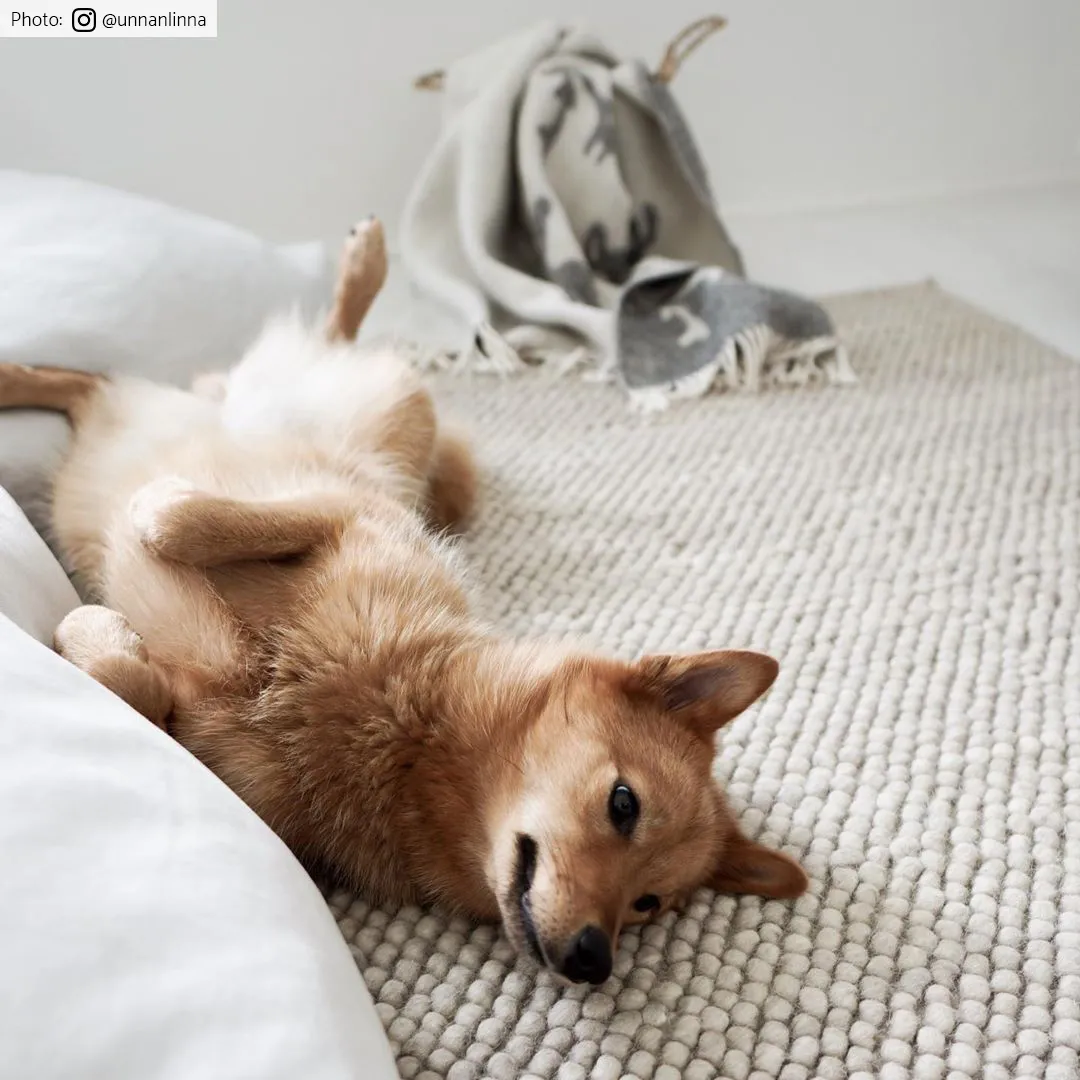 Uldtæppe - Avafors Wool Bubble (beige)