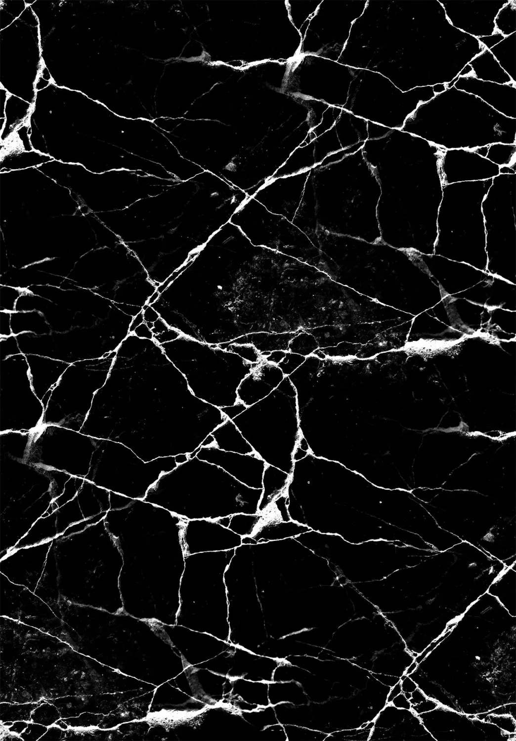 Wilton-tæppe - Vieste (sort/hvid)