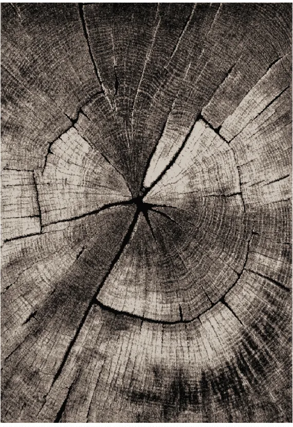 Wilton-tæppe - Event (grå)