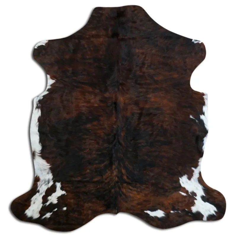 Koskind - Tricolor Exotic N222