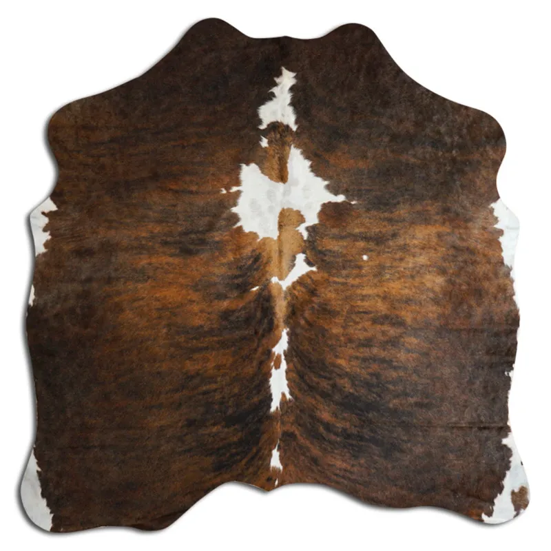 Koskind - Tricolor Exotic 1129