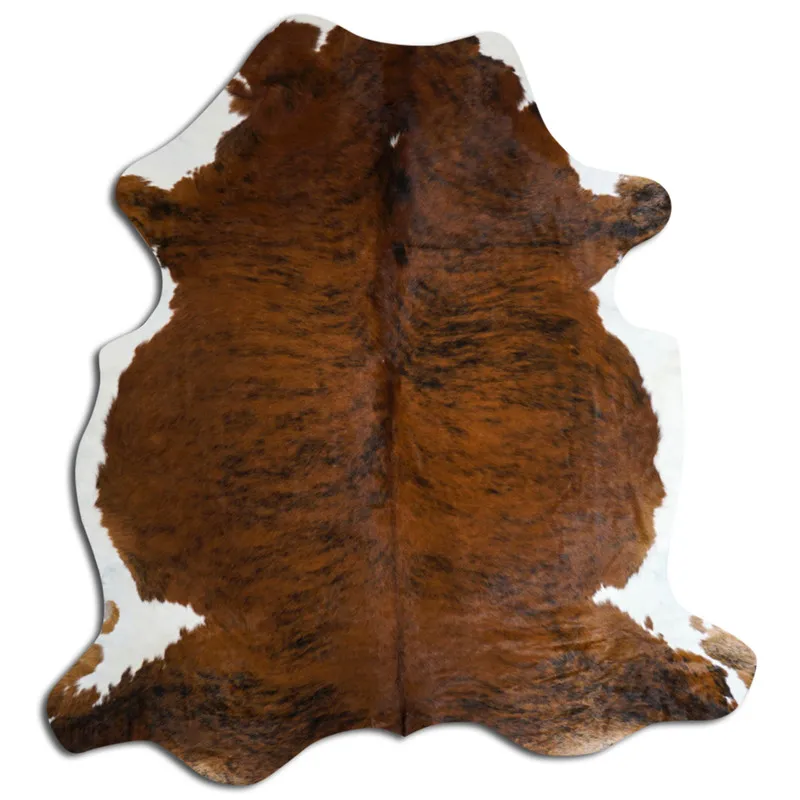 Koskind - Tricolor Exotic 1009