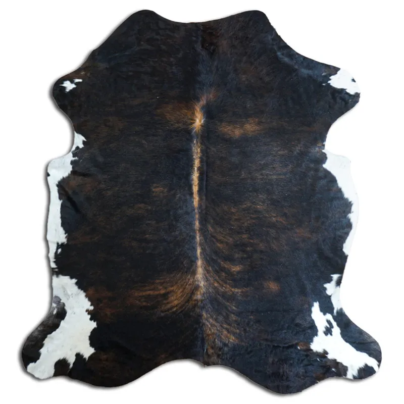 Koskind - Tricolor Exotic 1281