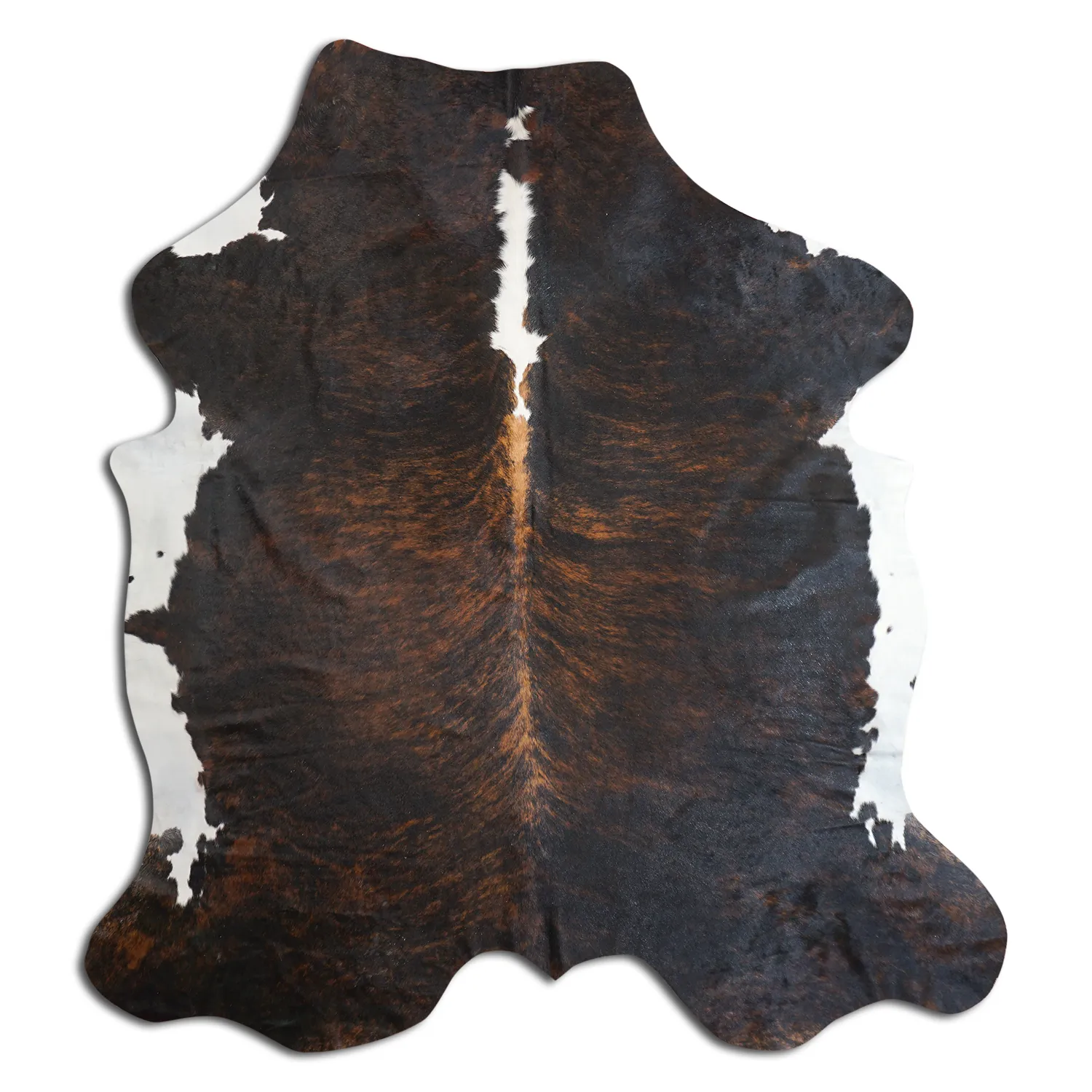 Koskind - Tricolor Exotic 799