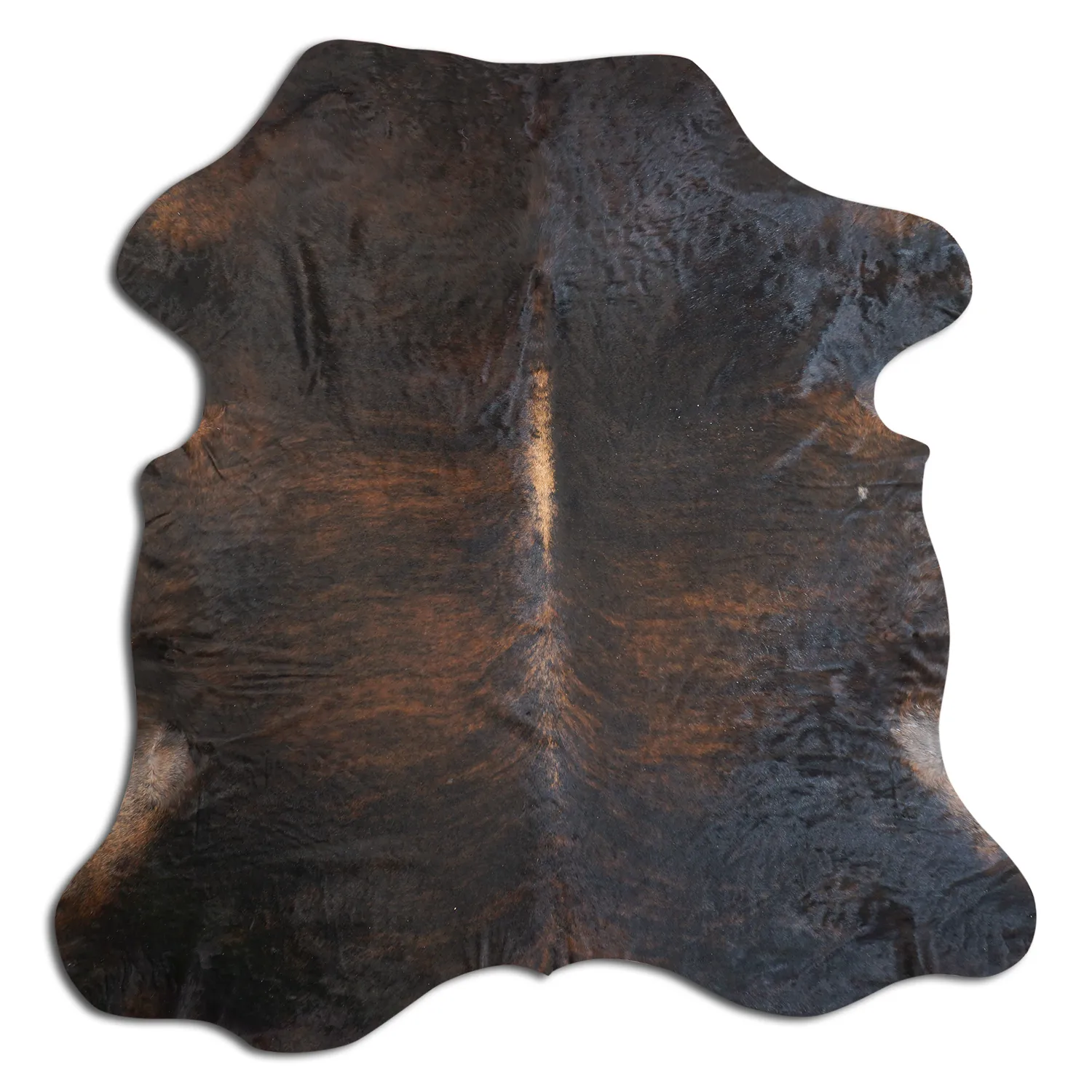 Koskind - Tricolor Exotic 818