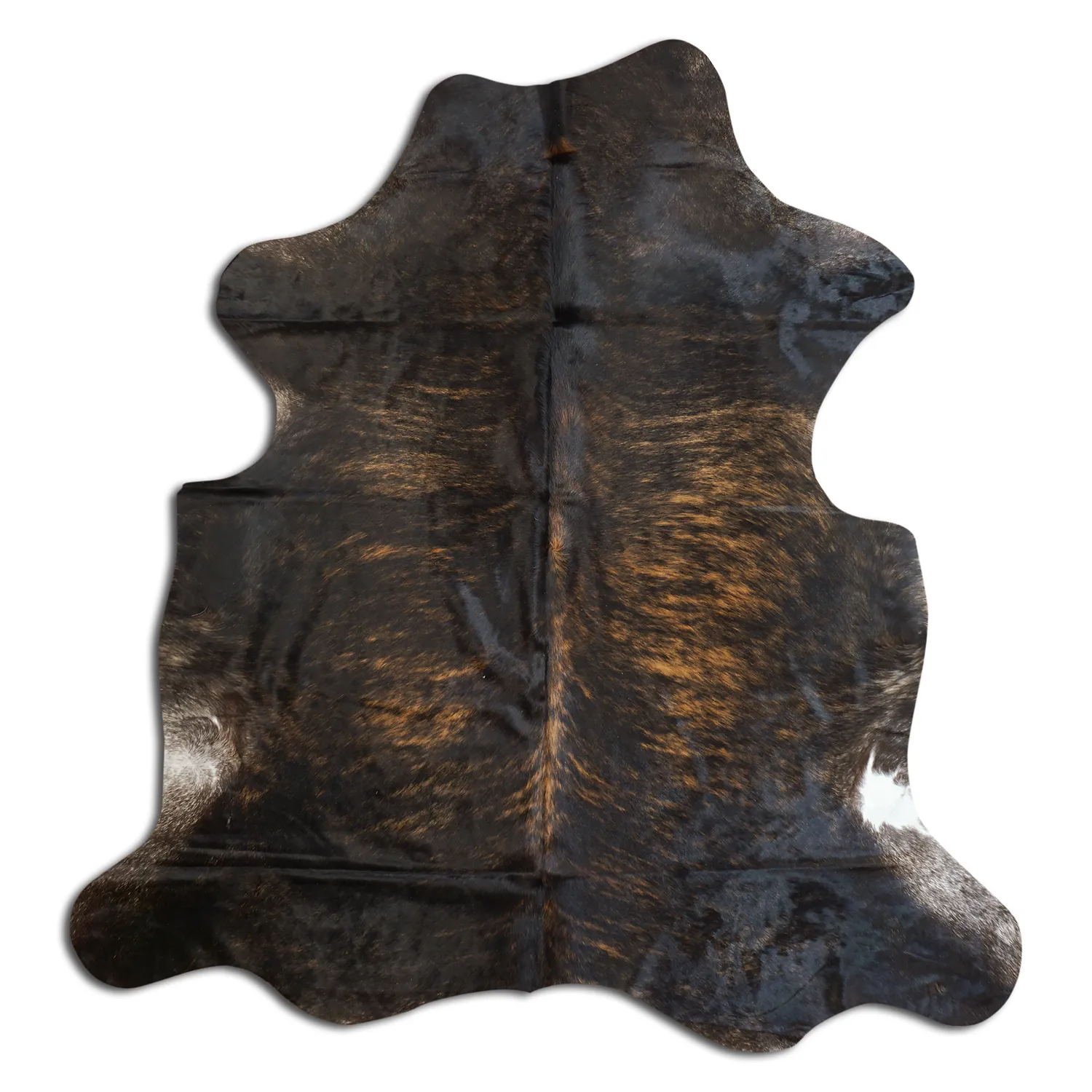 Koskind - Tricolor Exotic 829