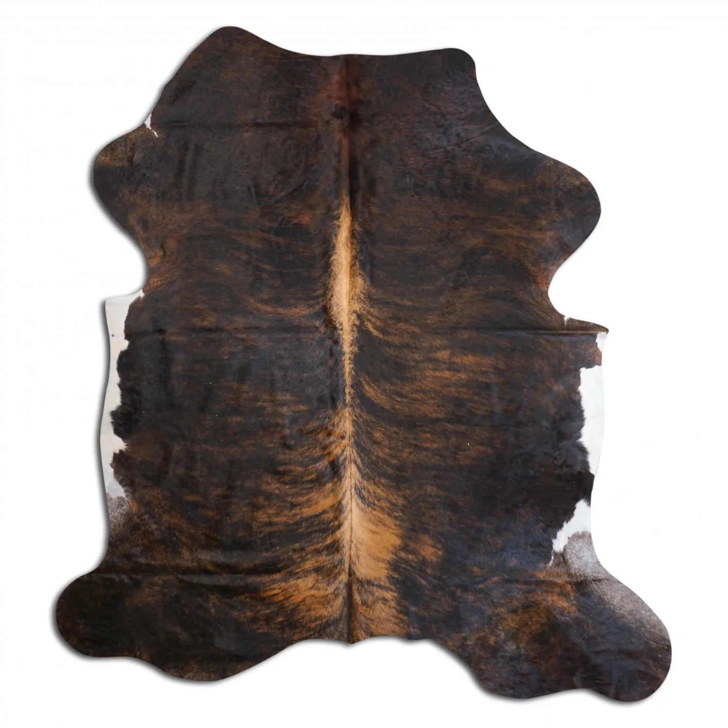 Koskind - Tricolor Exotic 907