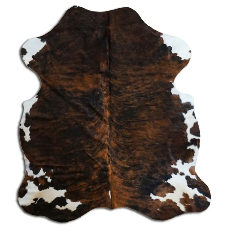 Koskind - Tricolor Exotic N136