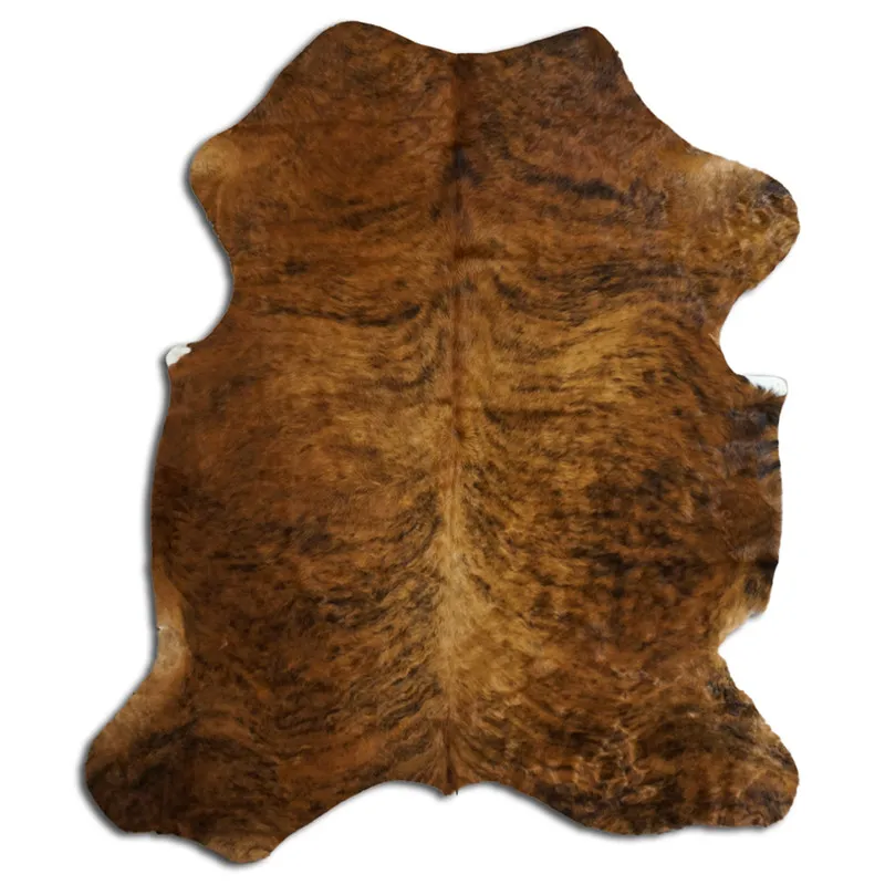 Koskind - Tricolor Exotic N149